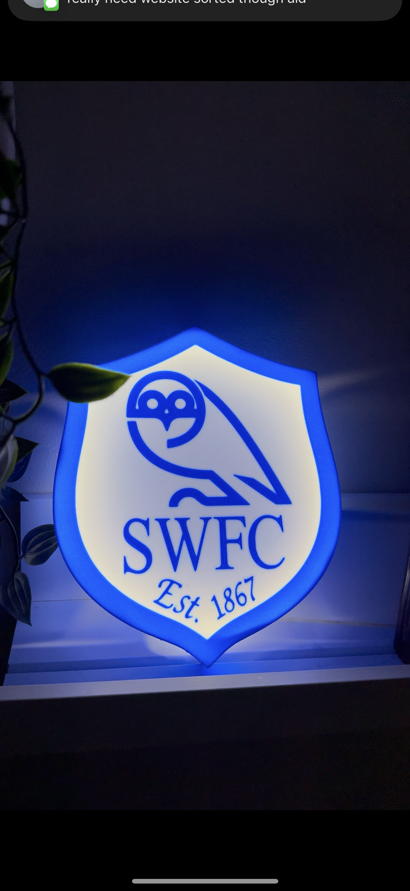 Sheffield Wednesday F.C Lightbox 7”