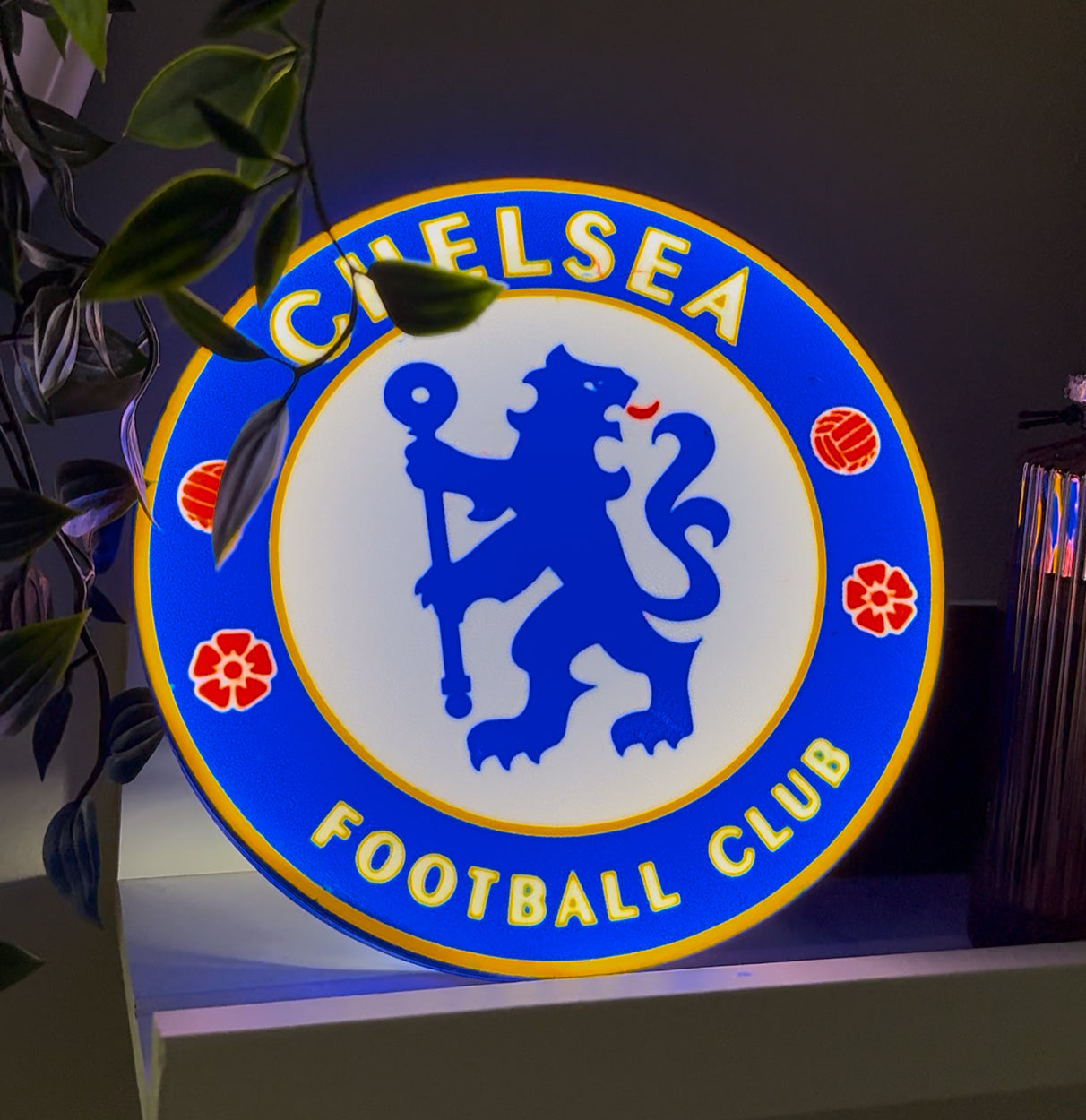 Chelsea Lightbox 7” USB