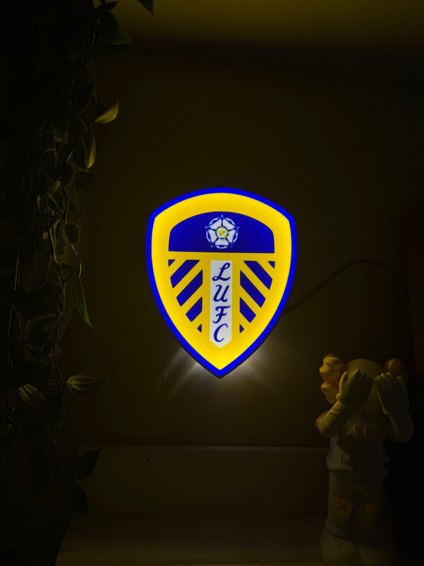Leeds United lightbox 7”
