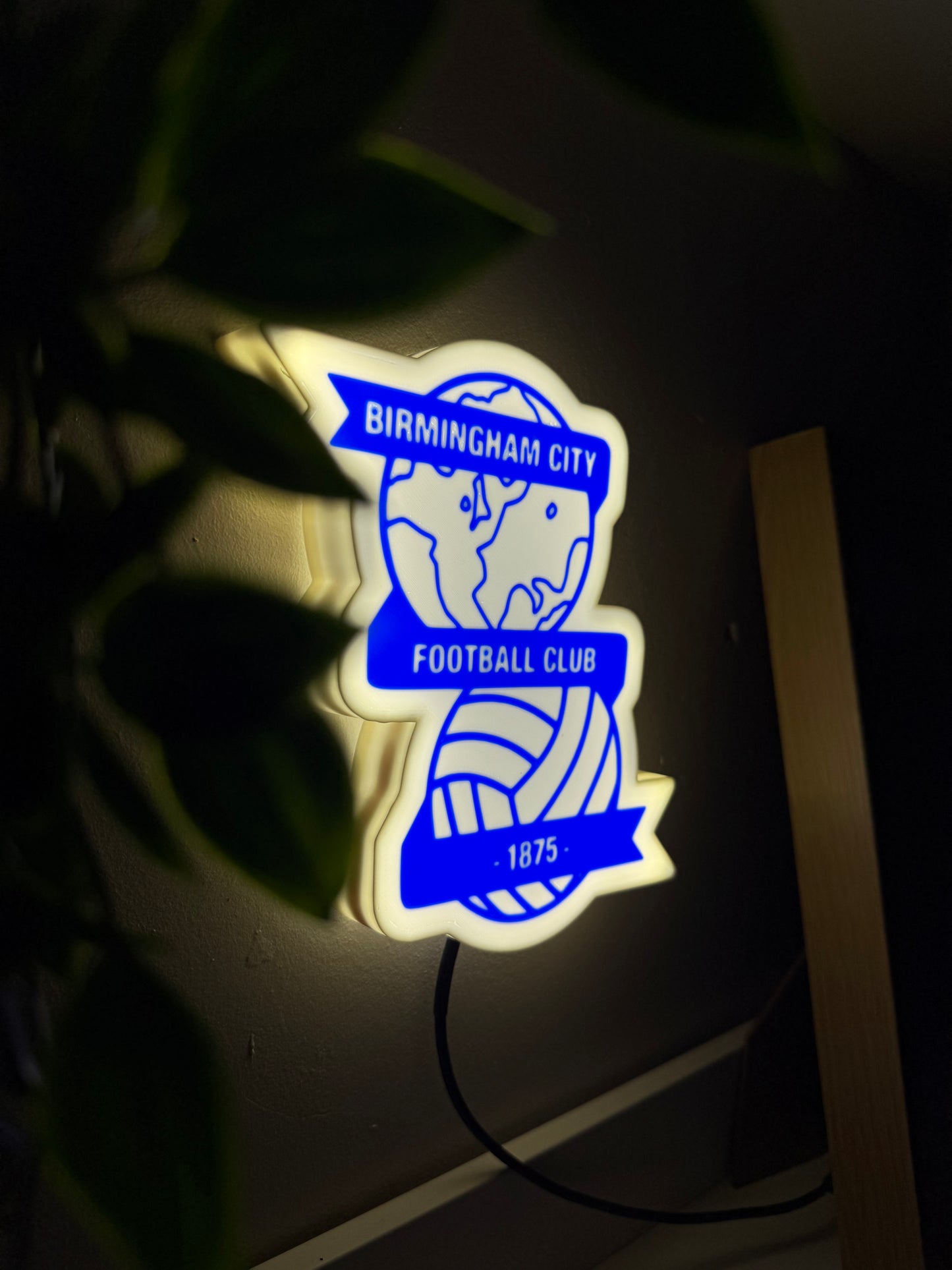 Birmingham City FC 7” Lightbox