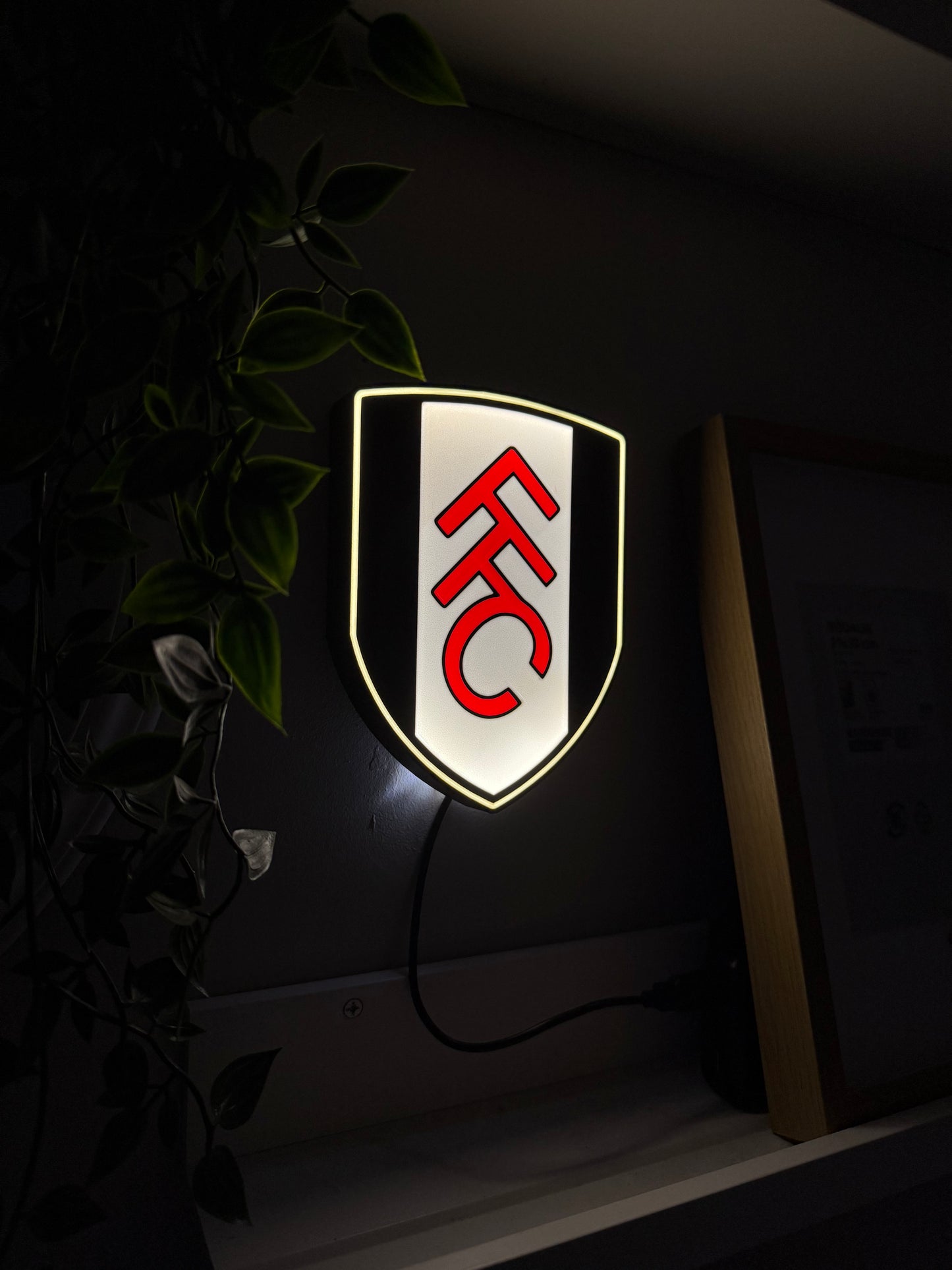 Fulham FC Lightbox