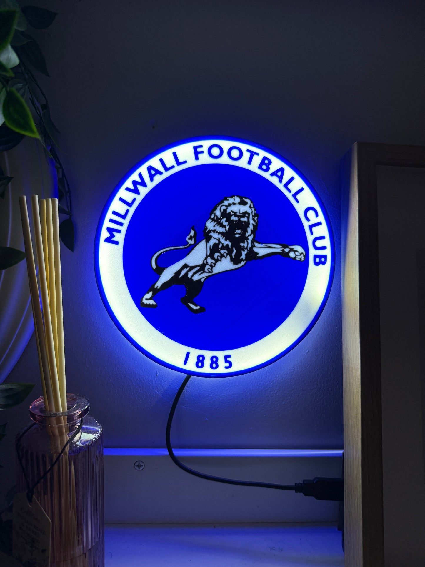 Millwall FC Lightbox