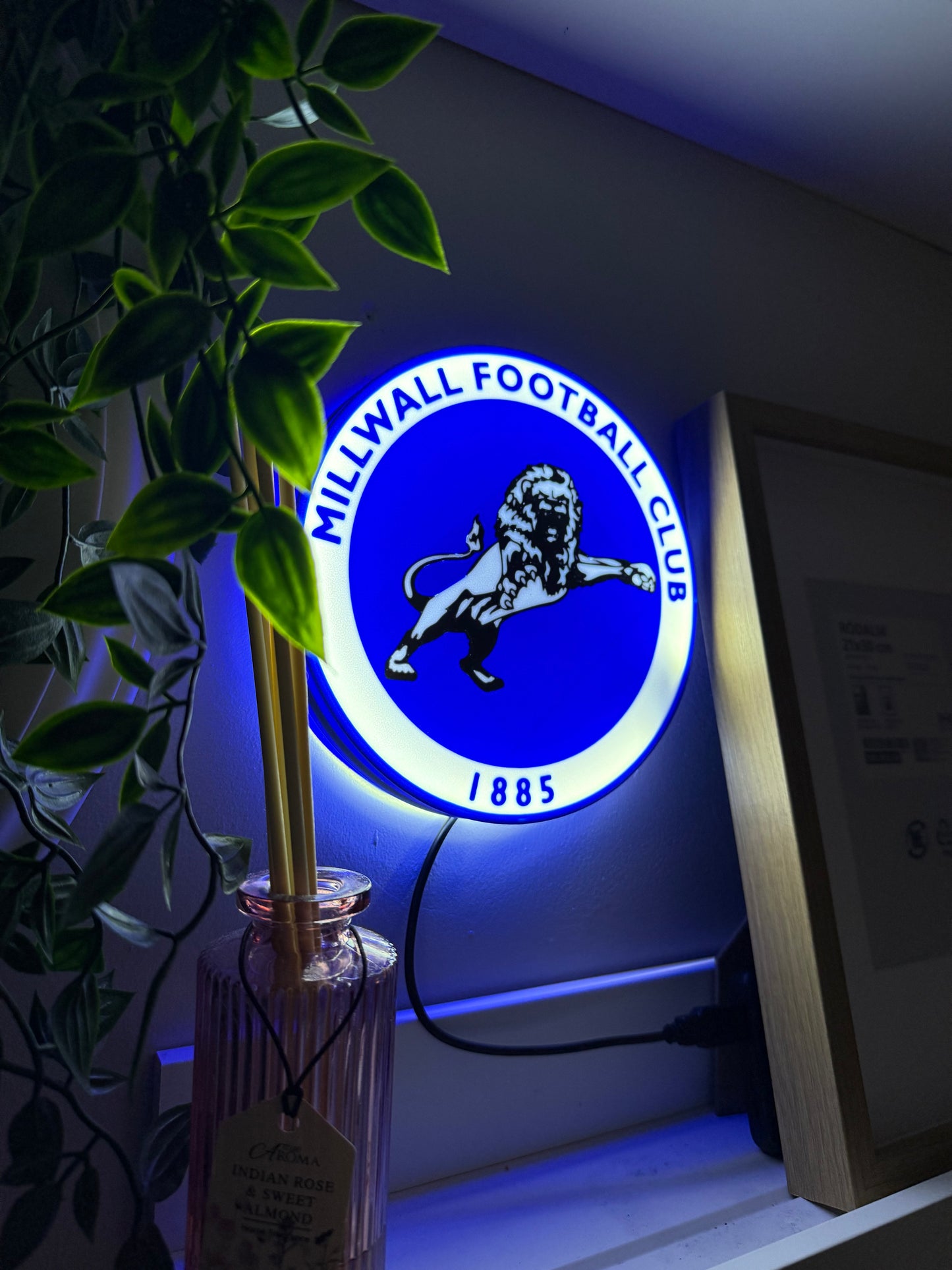 Millwall FC Lightbox