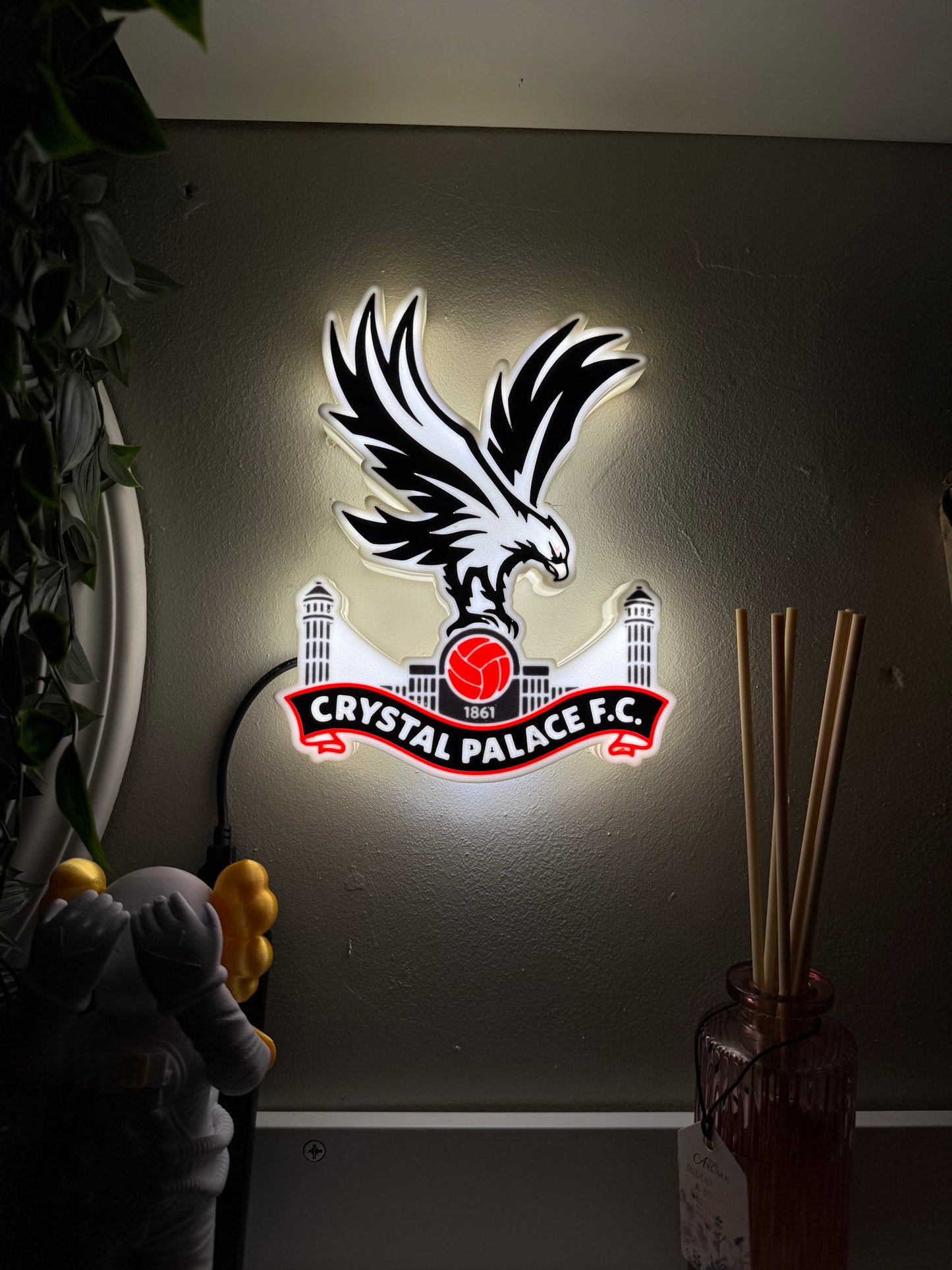 Crystal Palace FC Lightbox