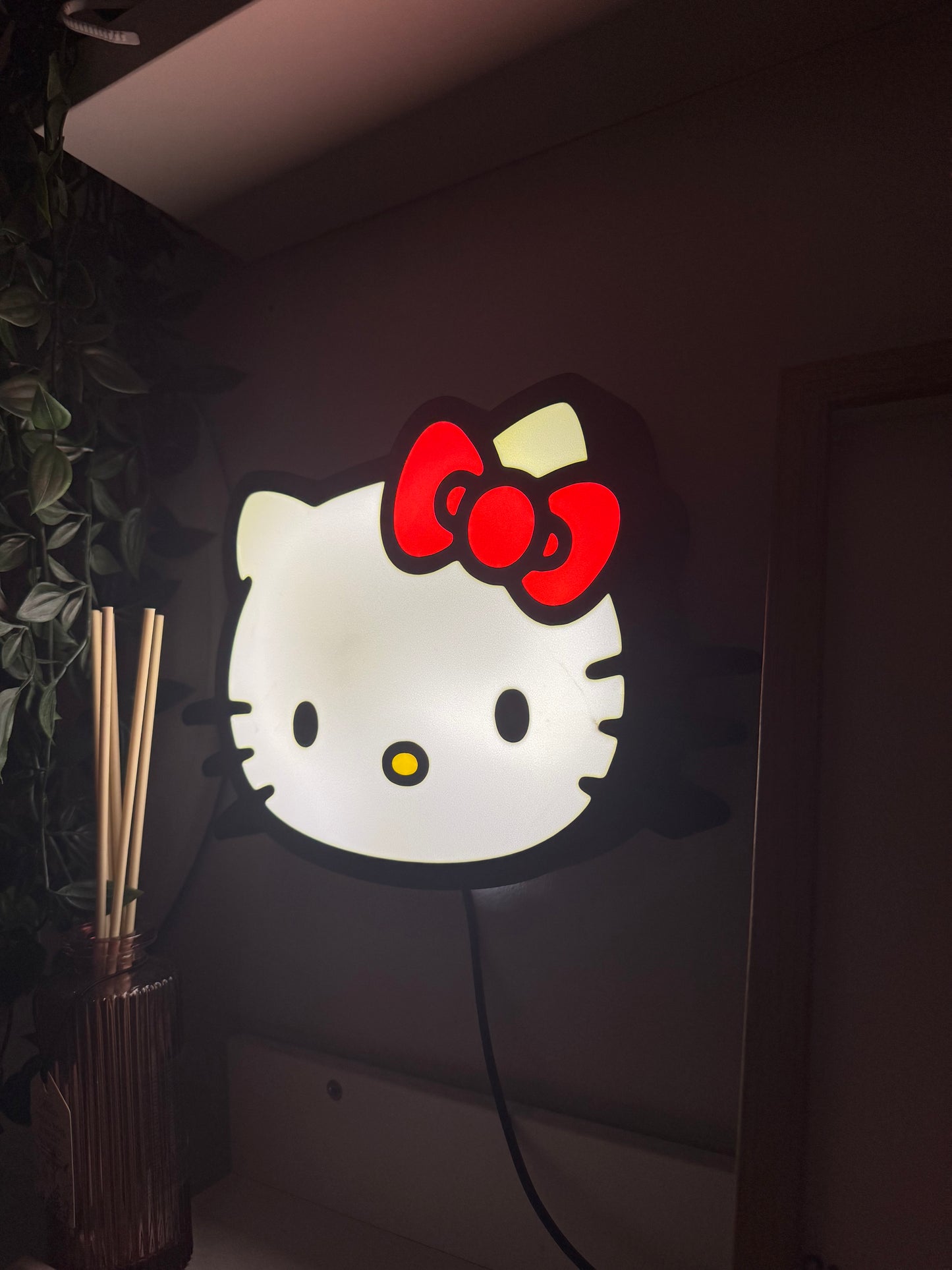 Kitty light box